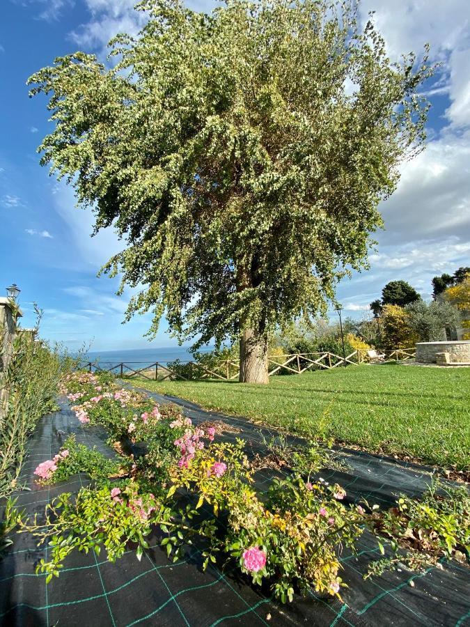 Residenza B&B Vistamare Petacciato Kültér fotó